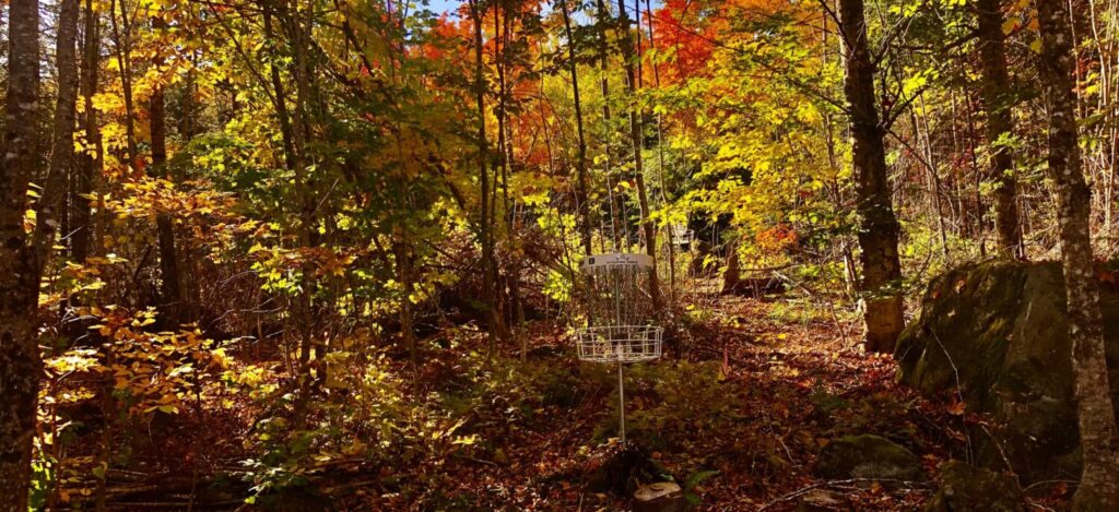 Fall Foliage, Best time of year to play disc golf 